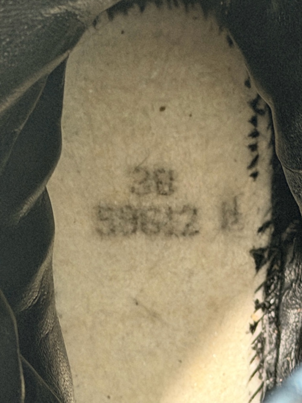 Stella McCartney Black Eclypse Sneaker Snow Boots. Pre Owned & Loved. Size 38. - Picture 13 of 17